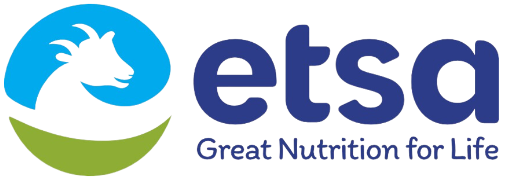 logo etsa